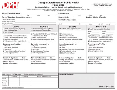 Georgia Form 3300 Printable